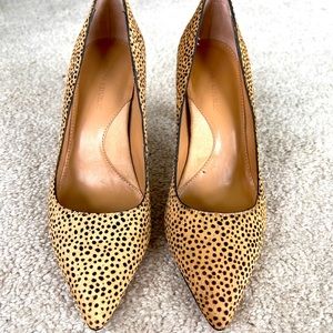 Banana Republic Cheetah print heel size 5.5